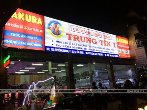 bien hop den hifex bong tuyp